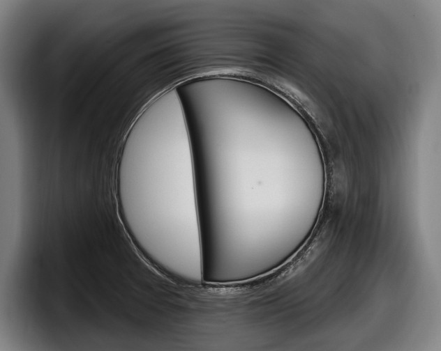 X0000098151377200804171148