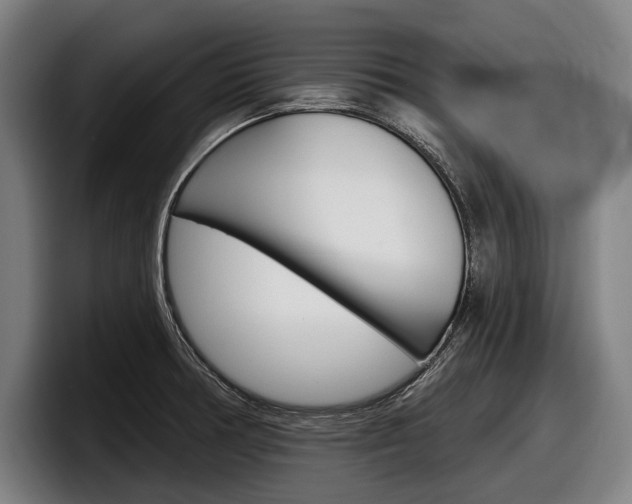 X0000098151378200804171148