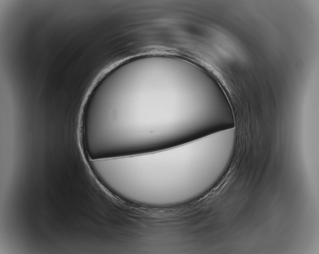 X0000098151379200804171148