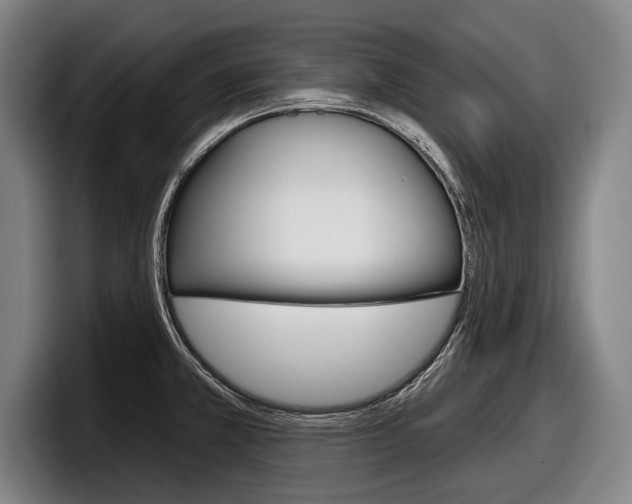 X0000098151381200804171148