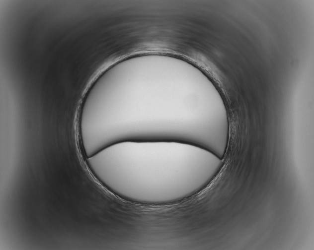 X0000098151382200804171148