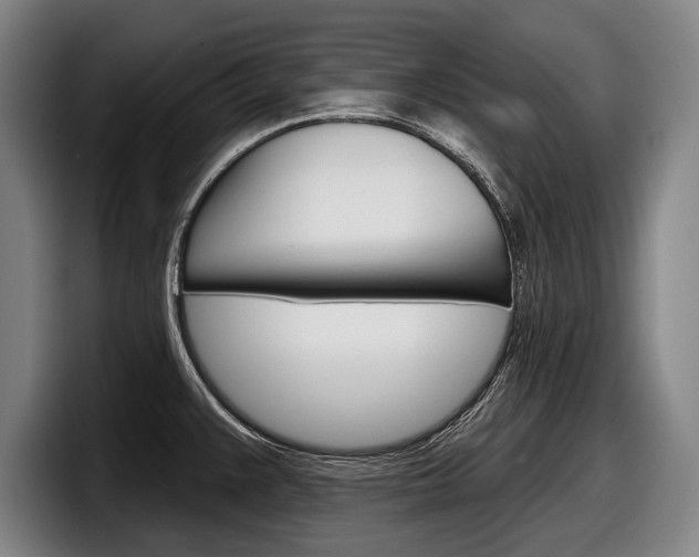 X0000098151383200804171147