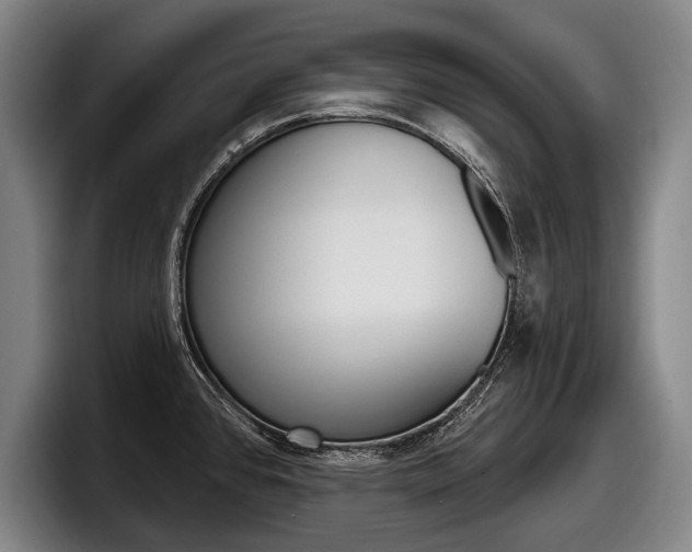 X0000098151384200804171147