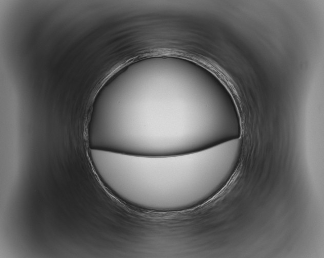 X0000098151385200804171147