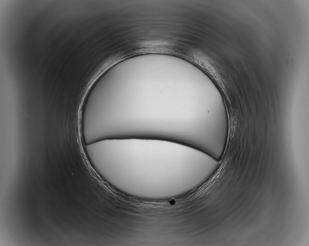 X0000098151386200804171147