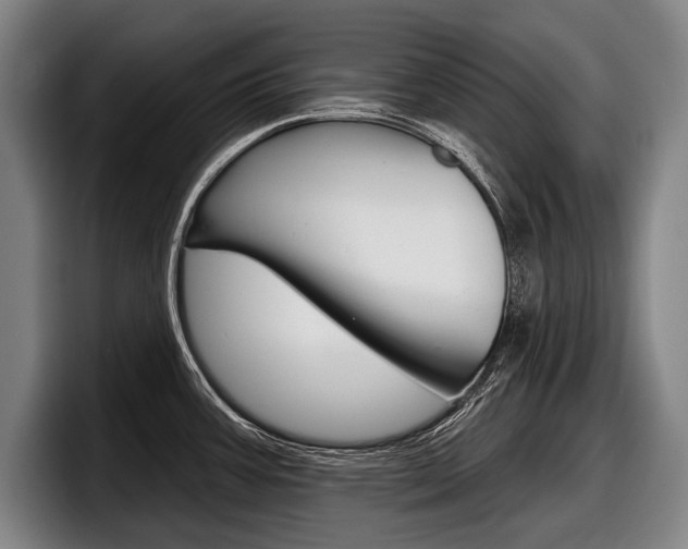 X0000098151387200804171147