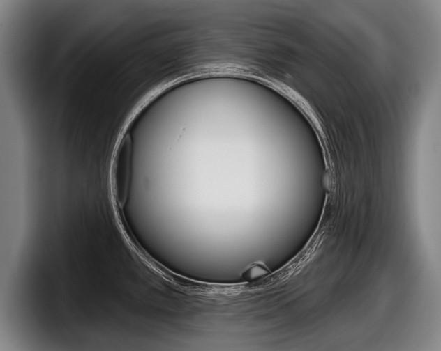 X0000098151389200804171147