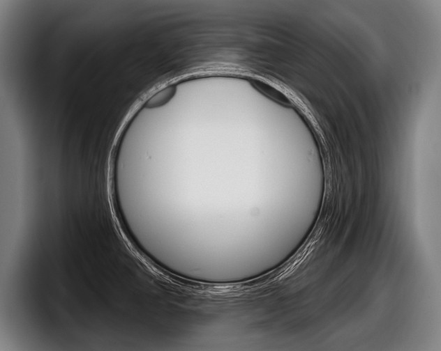 X0000098151390200804171147