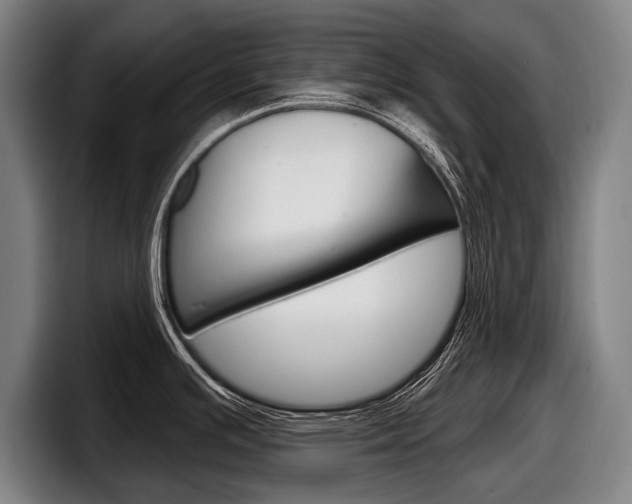 X0000098151391200804171147