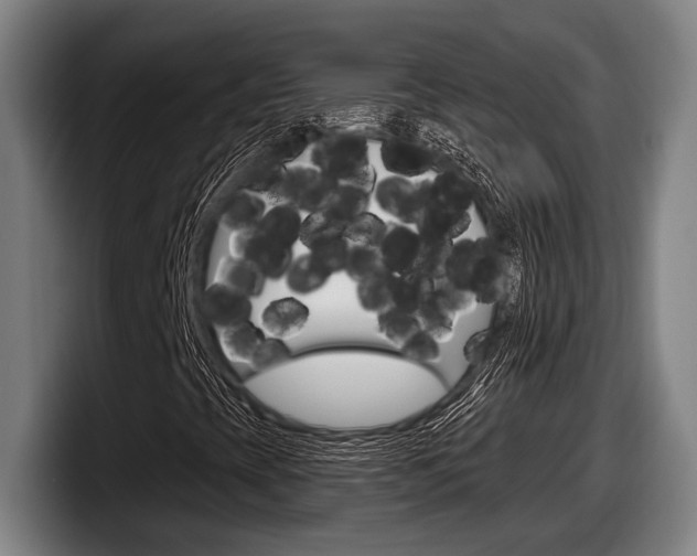 X0000098151393200804171147