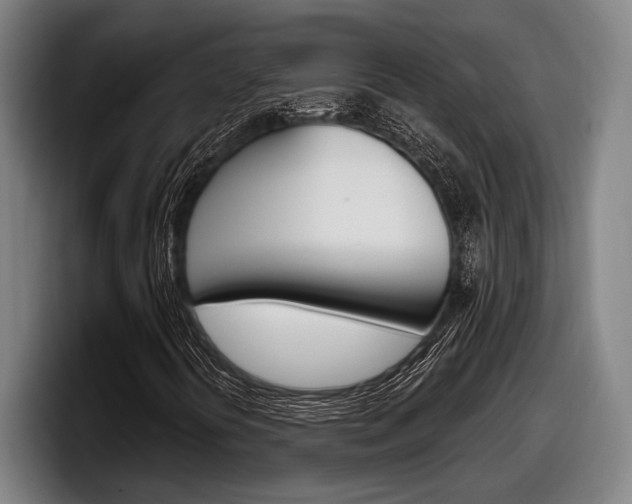 X0000098151394200804171147