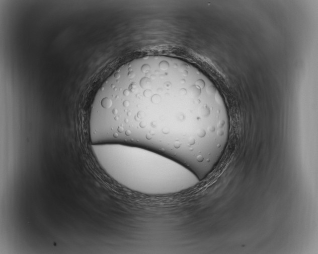 X0000098151399200804171147