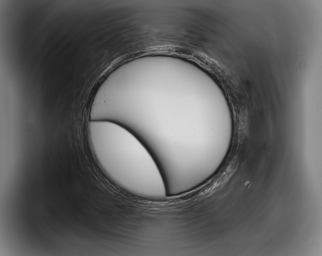 X0000098151401200804171147