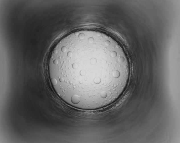 X0000098151405200804171147