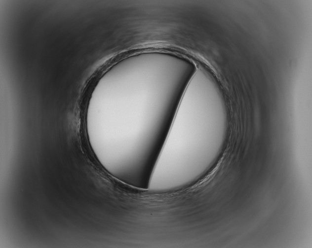 X0000098151406200804171147