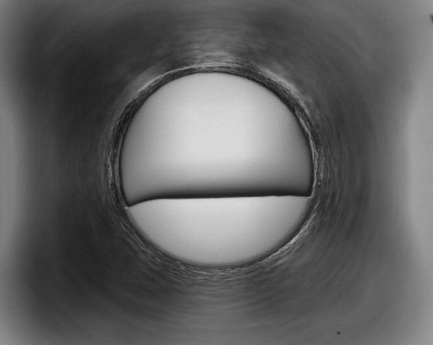 X0000098151407200804171147