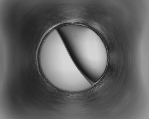 X0000098151412200804171147