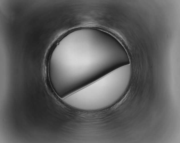 X0000098151414200804171147