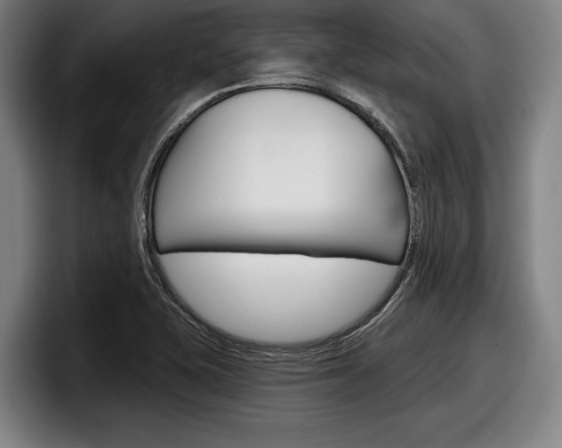 X0000098151415200804171147
