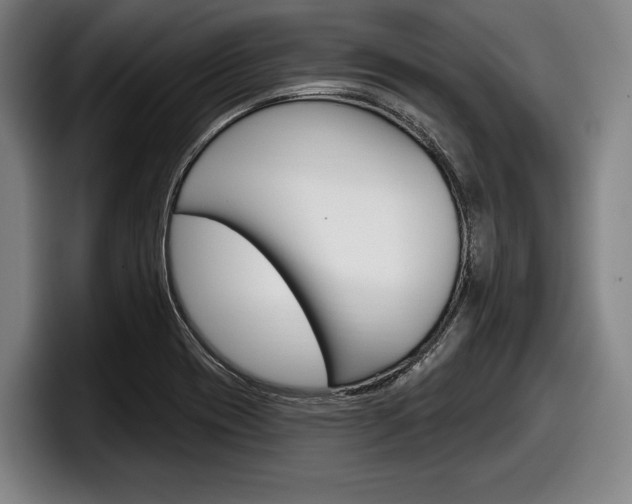 X0000098151417200804171147