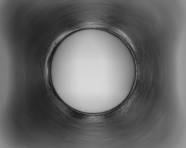 X0000098151419200804171147