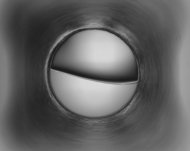 X0000098151422200804171147