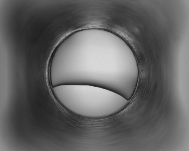 X0000098151423200804171147