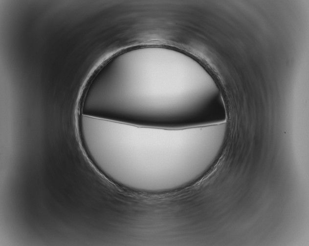X0000098151424200804171147