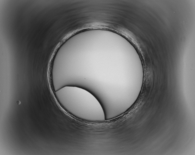 X0000098151429200804171147