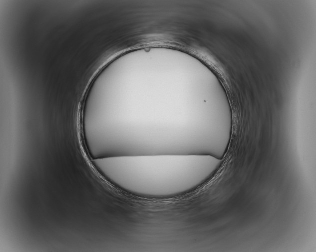X0000098151431200804171147