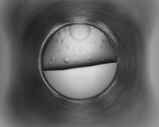 X0000098151432200804171147