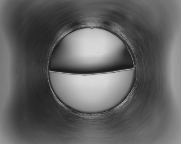 X0000098151433200804171147
