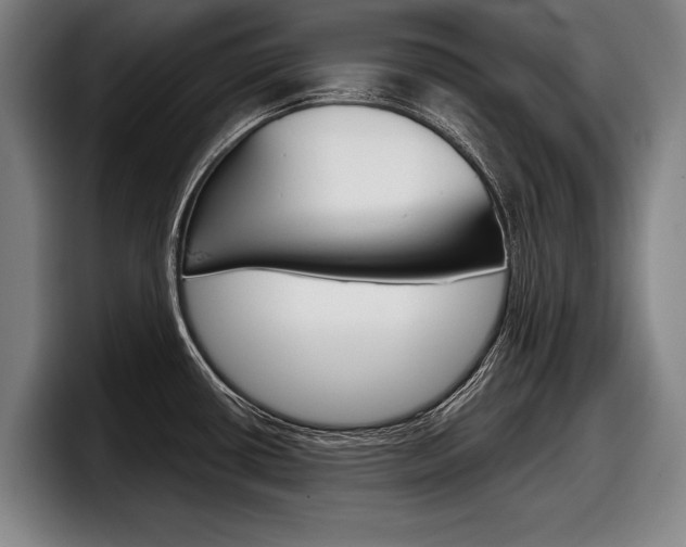 X0000098151434200804171147