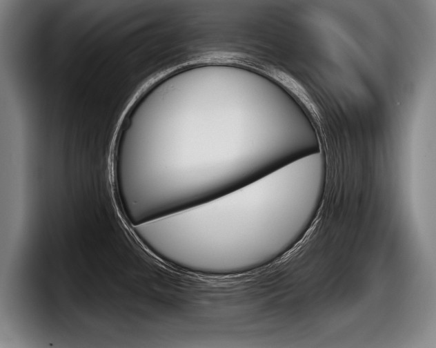 X0000098151436200804171147