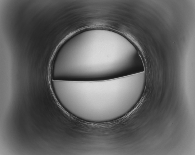 X0000098151437200804171147