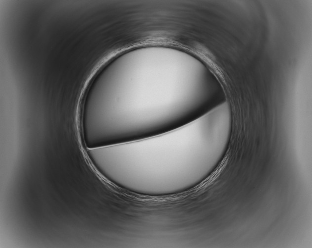 X0000098151438200804171147