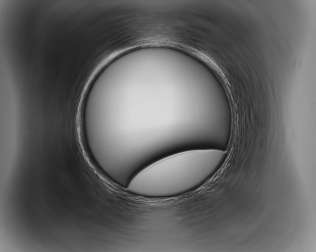 X0000098151440200804171147