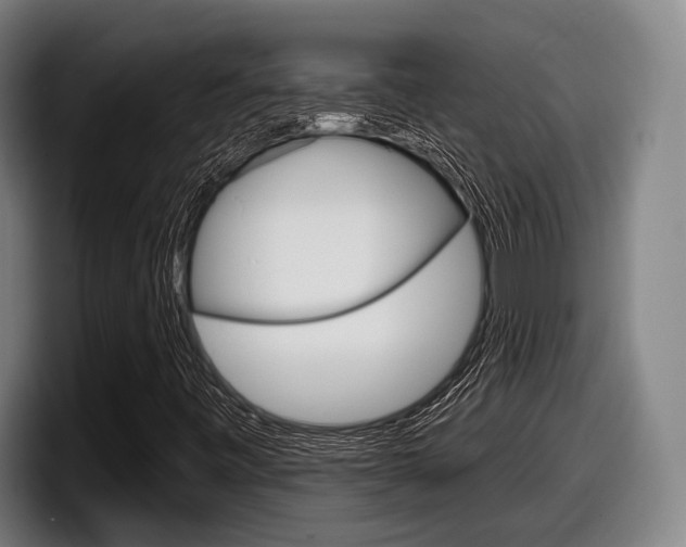 X0000098151443200804171147