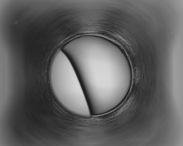 X0000098151449200804171147
