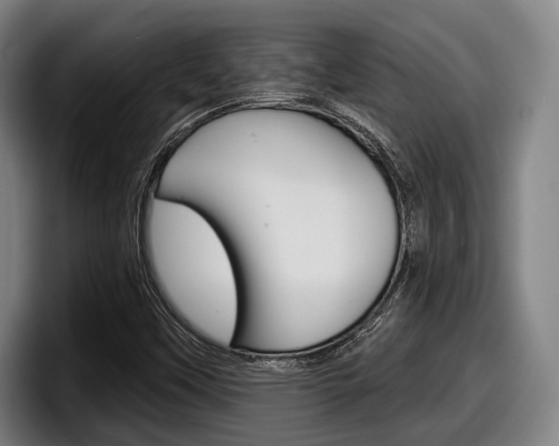 X0000098151451200804171147