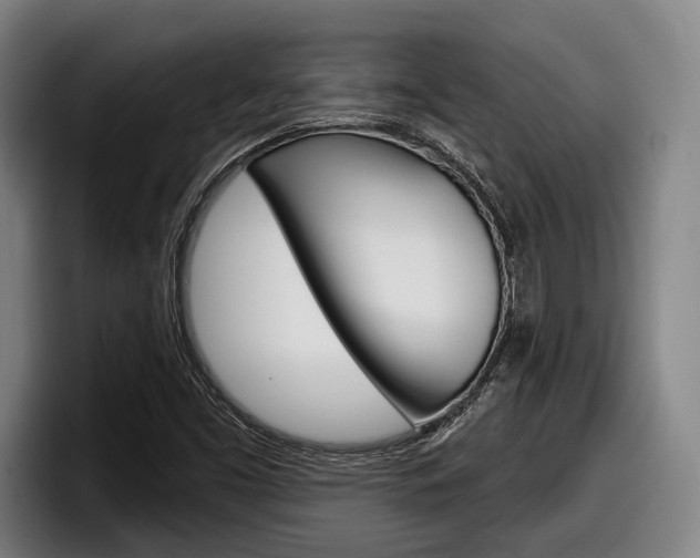 X0000098151453200804171147