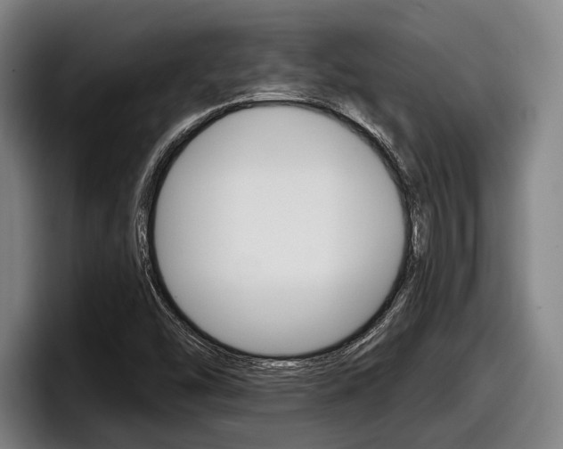 X0000098151454200804171147