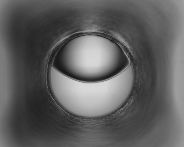 X0000098151456200804171147