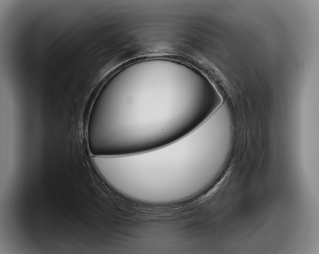 X0000098151457200804171146