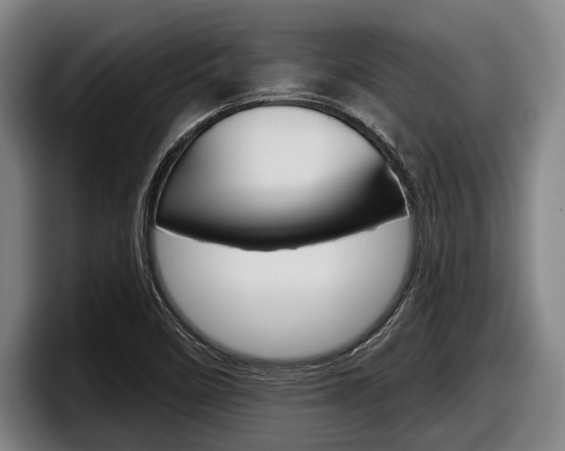 X0000098151458200804171146