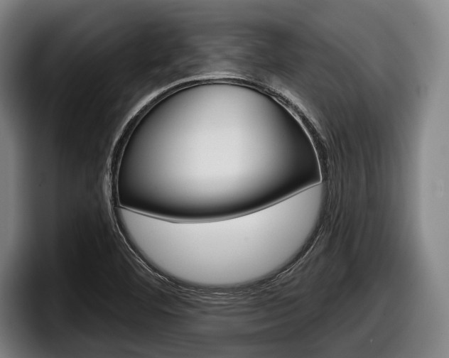 X0000098151460200804171146