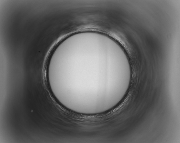 X0000098151462200804171146