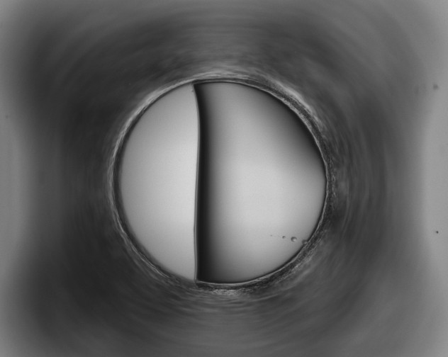 X0000098151463200804171146