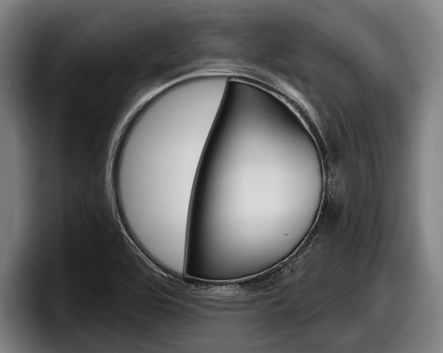 X0000098151464200804171146