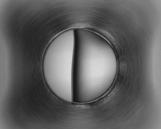 X0000098151465200804171146